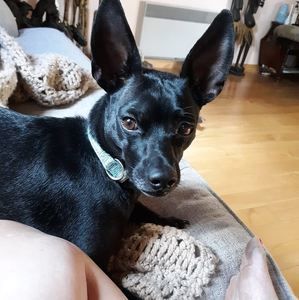 Meet your Posher, Joan